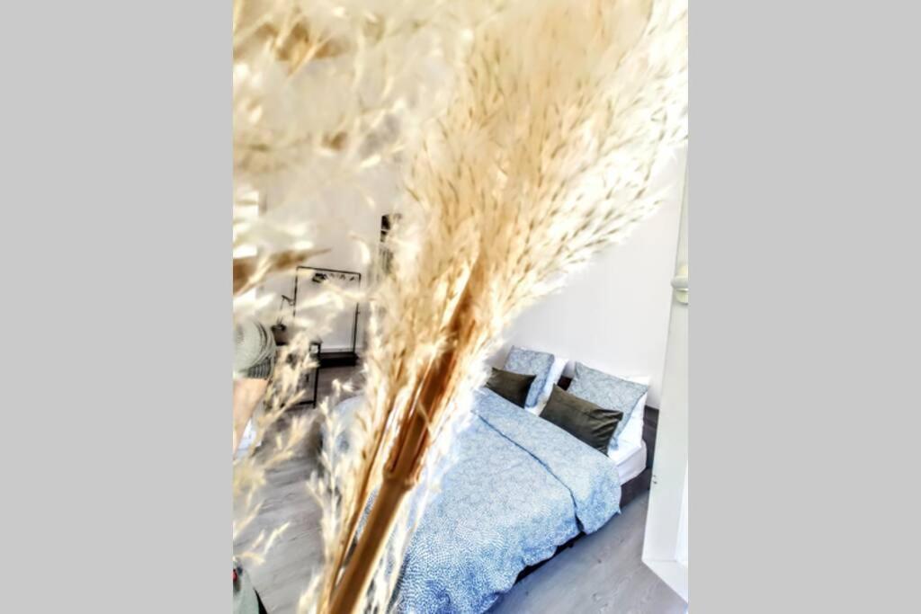Le Saint Du Vieux Port Apartman Marseille Kültér fotó